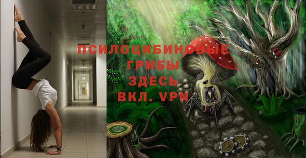 спайс Богородицк