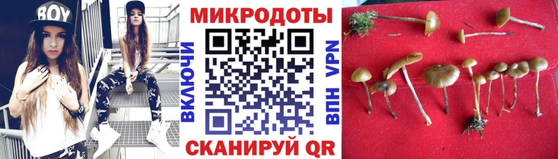 Галлюциногенные грибы Psilocybine cubensis  как найти наркотики  Кирово-Чепецк 